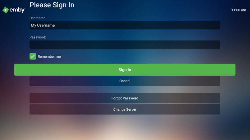 Emby Setup (Manual) - Step 4